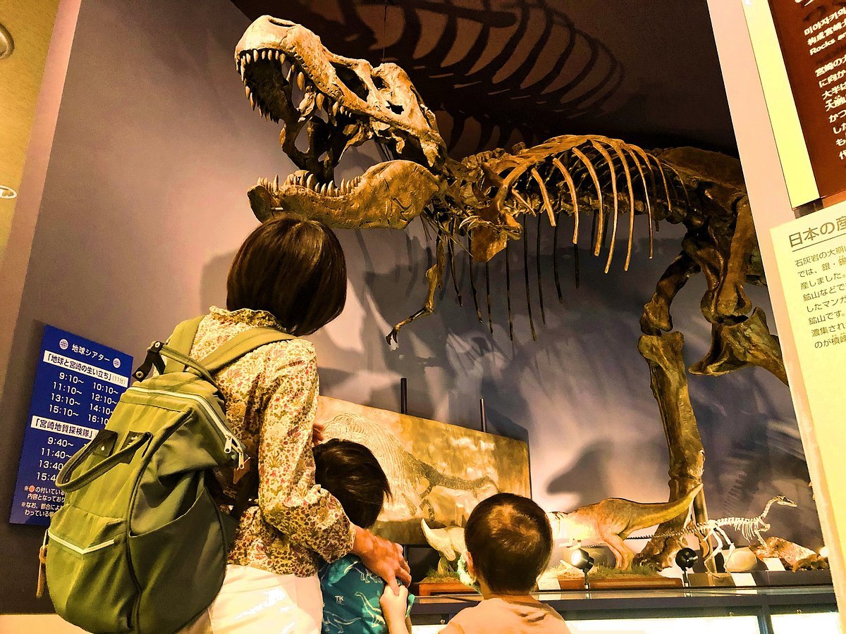 🏛️ 미야자키현 종합 박물관(미야자키켄 소고 하쿠부쓰칸) 이미지 3